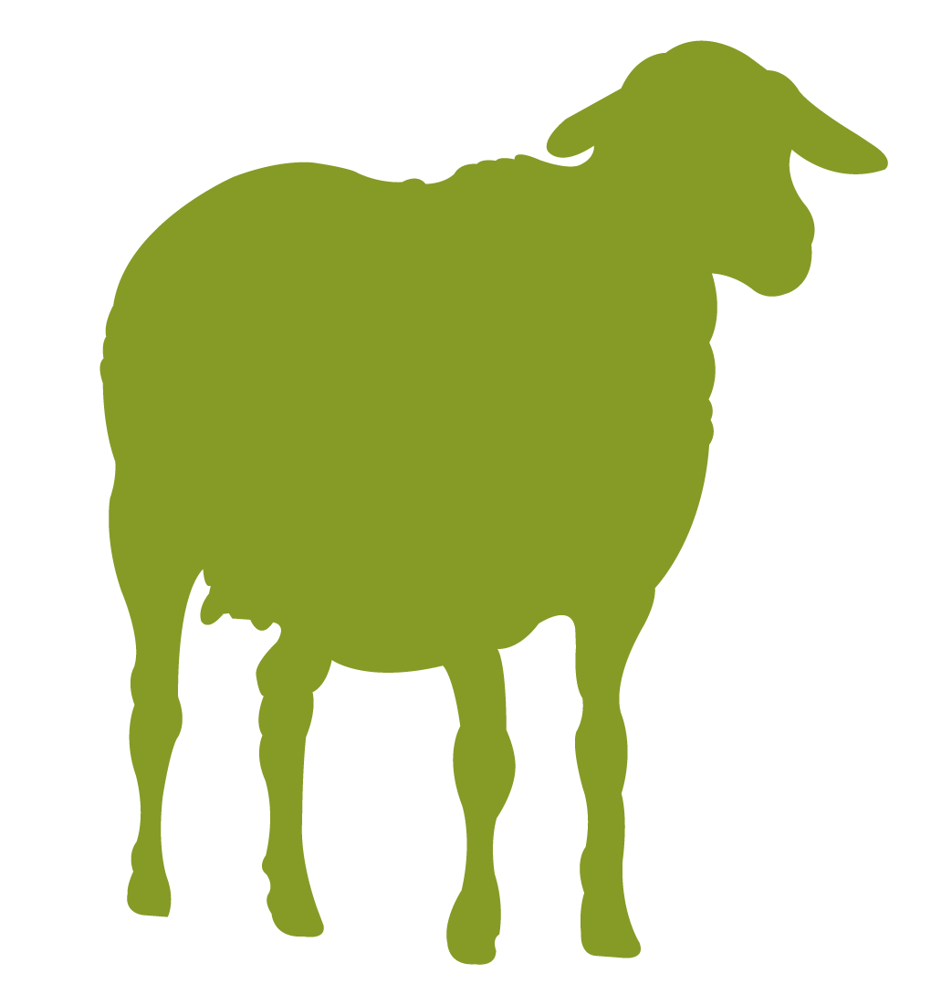 BORJ-LELLA
